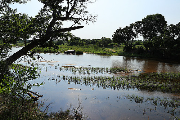 Lion Sands
