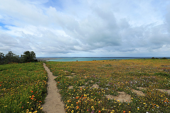 Landscape West Coast NP