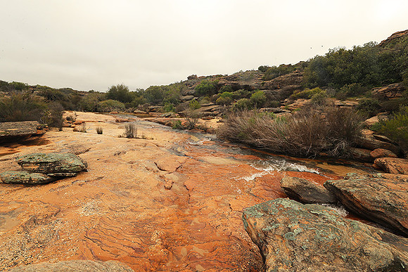 Landscape west coast