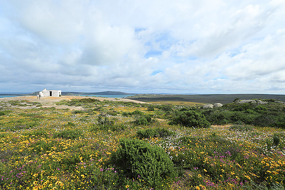Landscape West Coast NP