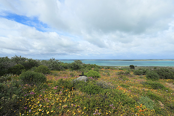 Landscape West Coast NP