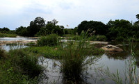 Lion Sands