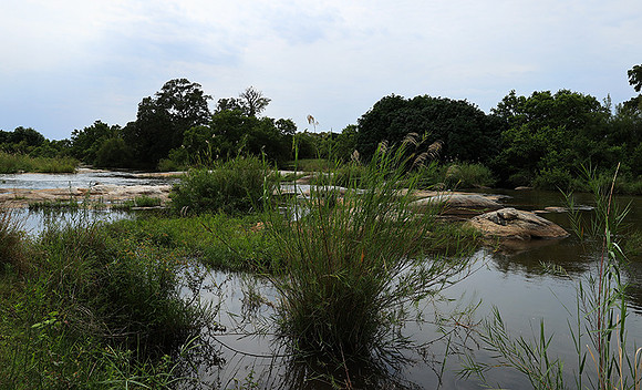 Lion Sands