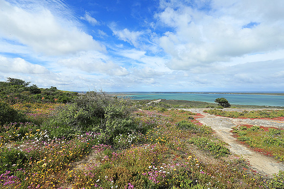 Landscape West Coast NP