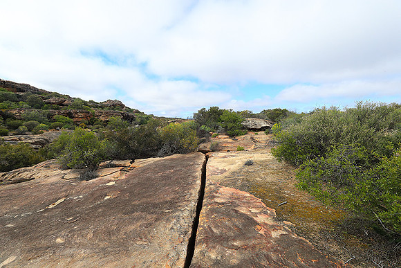 Landscape west coast