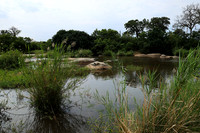 Lion Sands