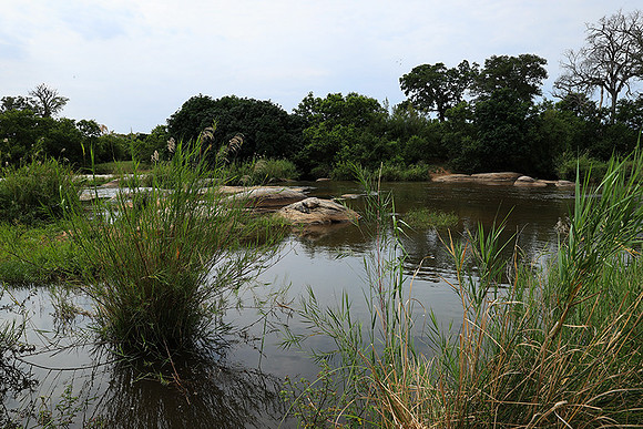 Lion Sands