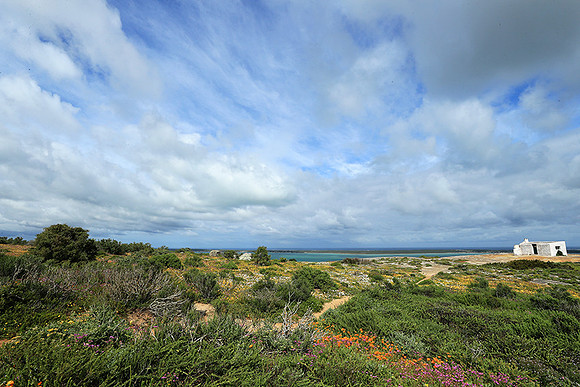 Landscape West Coast NP