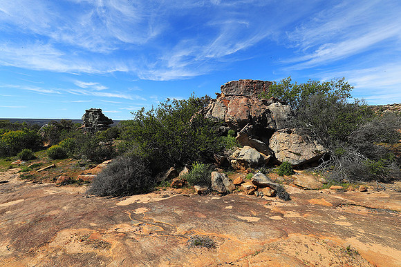 Landscape west coast