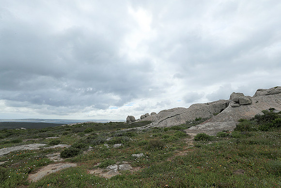 Landscape West Coast NP