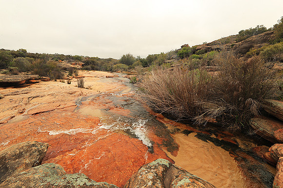 Landscape west coast