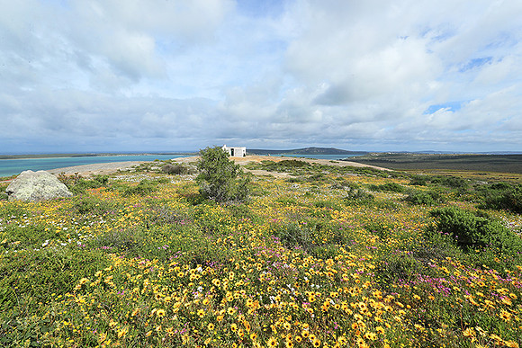 Landscape West Coast NP