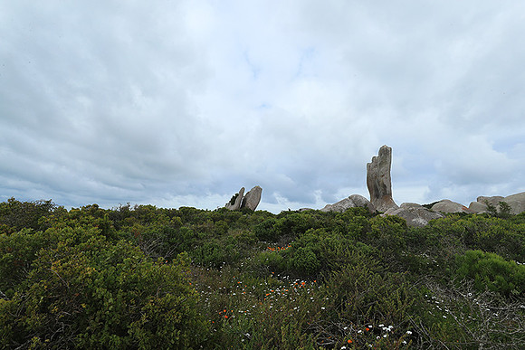 Landscape West Coast NP