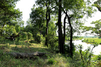Lion Sands