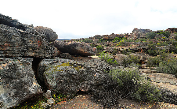 Landscape west coast