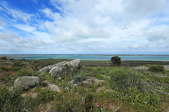 Landscape West Coast NP