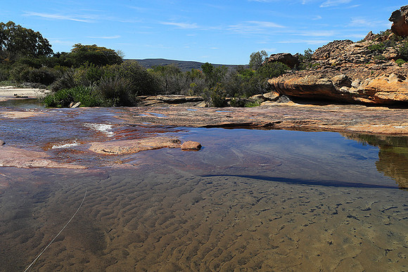 Landscape west coast