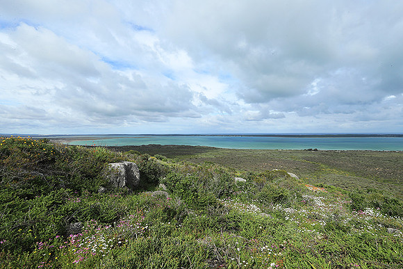 Landscape West Coast NP