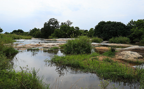 Lion Sands
