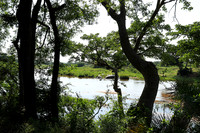 Lion Sands