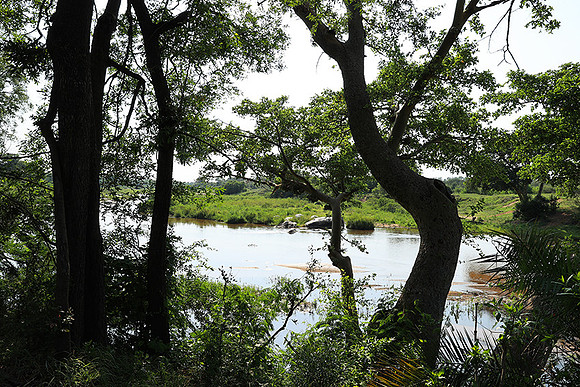 Lion Sands