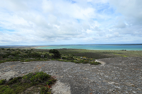 Landscape West Coast NP