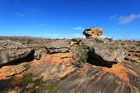 Landscape west coast