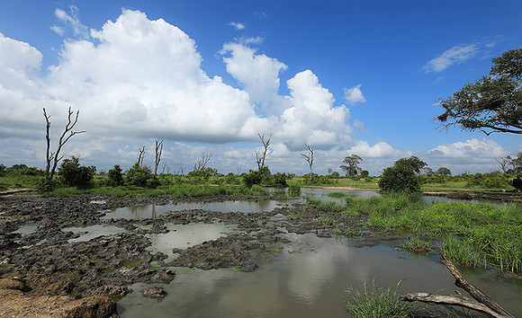 Londolozi Game Reserve