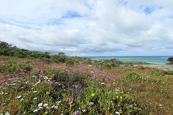 Landscape West Coast NP