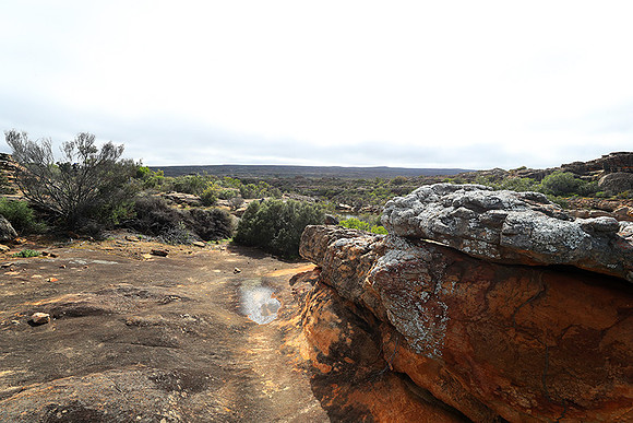 Landscape west coast