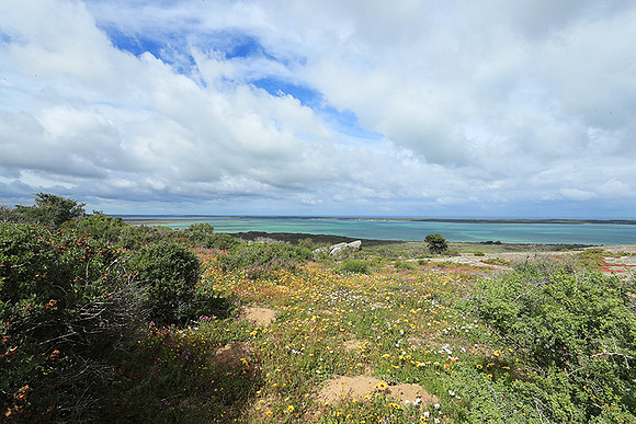Landscape West Coast NP