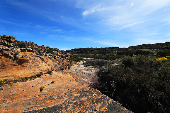 Landscape west coast