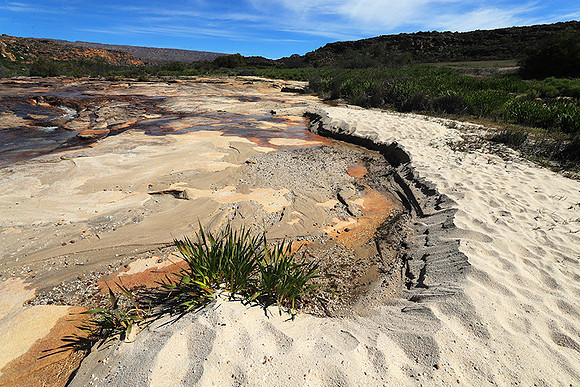 Landscape west coast