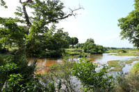 Lion Sands