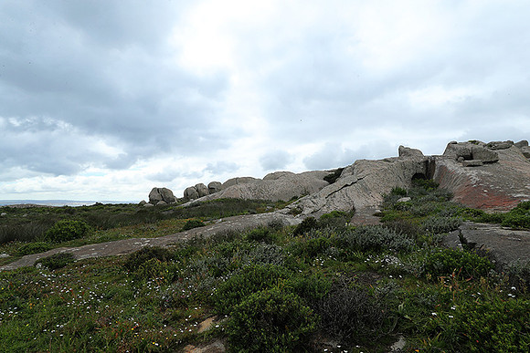 Landscape West Coast NP