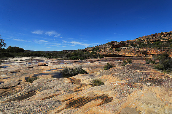 Landscape west coast