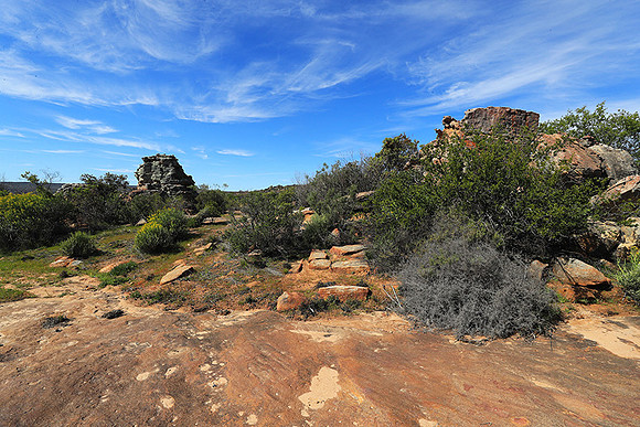 Landscape west coast
