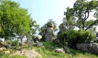 Lion Sands