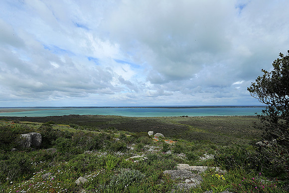 Landscape West Coast NP
