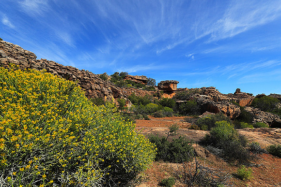 Landscape west coast