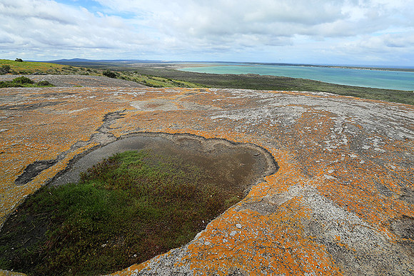 Landscape West Coast NP