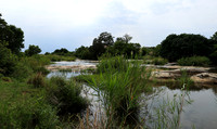 Lion Sands