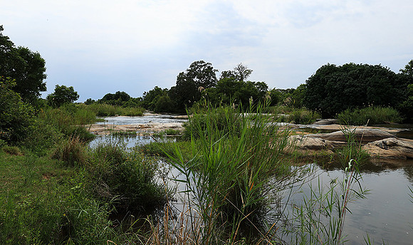 Lion Sands