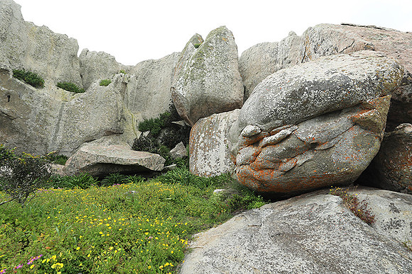 Landscape West Coast NP