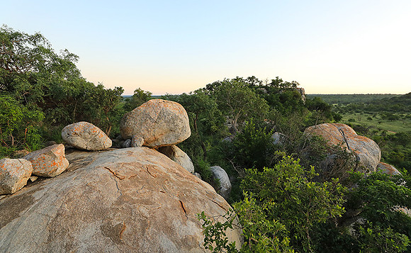 Mala Mala game reserve