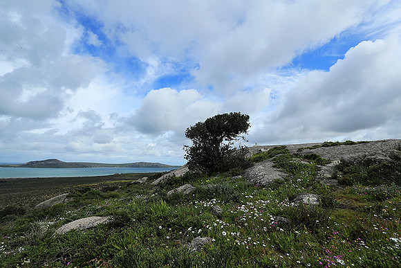 Landscape West Coast NP