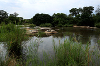 Lion Sands