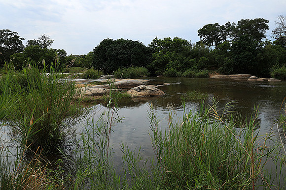 Lion Sands