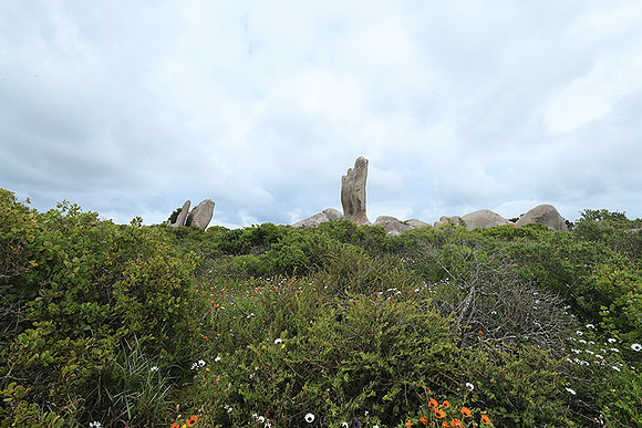 Landscape West Coast NP