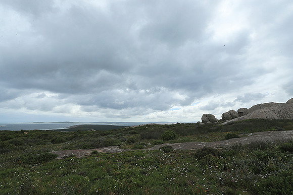 Landscape West Coast NP